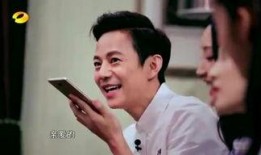 苏醒爆料何炅视频,揭秘娱乐圈不为人知的一面