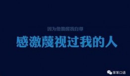 励志爆料视频大全集,见证奋斗的力量与梦想的翅膀