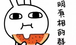 吃瓜系统娱乐圈沙雕动画,吃瓜系统带你笑翻银幕